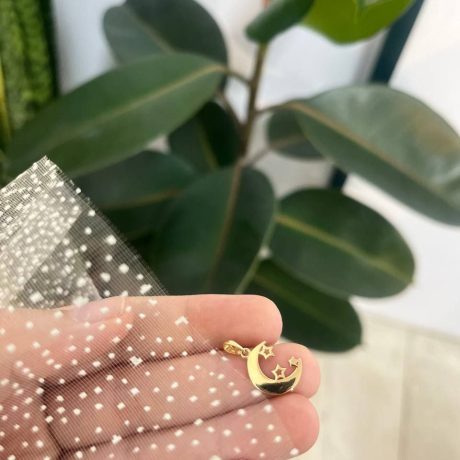 پلاک ماه و ستاره