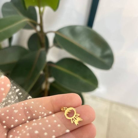 پلاک طرح پسر