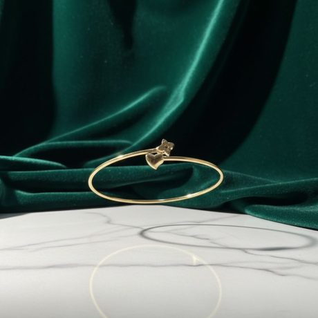 بنگل قلب و ونکلیف